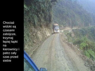 Chociaż widoki są czasami zabójcze, trzymaj lepiej łapki na kierownicy i patrz cały czas przed siebie 
