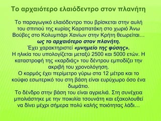 Το παραγωγικό ελαιόδεντρο που βρίσκεται στην αυλή
του σπιτιού της κυρίας Καραπατάκη στο χωριό Άνω
Βούβες στο Κολυμπάρι Χανίων στην Κρήτη θεωρείται…
ως το αρχαιότερο στον πλανήτη.
Έχει χαρακτηριστεί «μνημείο της φύσης».
Η ηλικία του υπολογίζεται μεταξύ 2500 και 5000 ετών. Η
καταστροφή της «καρδιάς» του δέντρου εμποδίζει την
ακριβή του χρονολόγηση.
Ο κορμός έχει περίμετρο γύρω στα 12 μέτρα και το
κούφιο εσωτερικό του στη βάση είναι ευρύχωρο όσο ένα
δωμάτιο.
Το δένδρο στην βάση του είναι αγριελιά. Στη συνέχεια
μπολιάστηκε με την ποικιλία τσουνάτη και εξακολουθεί
να δίνει μέχρι σήμερα πολύ καλής ποιότητας λάδι…
Το αρχαιότερο ελαιόδεντρο στον πλανήτη
 