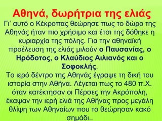Γι’ αυτό ο Κέκροπας θεώρησε πως το δώρο της
Αθηνάς ήταν πιο χρήσιμο και έτσι της δόθηκε η
κυριαρχία της πόλης. Για την αθηναϊκή
προέλευση της ελιάς μιλούν ο Παυσανίας, ο
Ηρόδοτος, ο Κλαύδιος Αιλιανός και ο
Σοφοκλής.
Το ιερό δέντρο της Αθηνάς έγραψε τη δική του
ιστορία στην Αθήνα. Λέγεται πως το 480 π.Χ.
όταν κατέκτησαν οι Πέρσες την Ακρόπολη,
έκαψαν την ιερή ελιά της Αθήνας προς μεγάλη
θλίψη των Αθηναίων που το θεώρησαν κακό
σημάδι..
Αθηνά, δωρήτρια της ελιάς
 