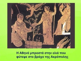 Η Αθηνά μπροστά στην ελιά που
φύτεψε στο βράχο της Ακρόπολης
 
