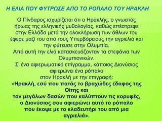 Ο Πίνδαρος ισχυρίζεται ότι ο Ηρακλής, ο γνωστός
ήρωας της ελληνικής μυθολογίας, καθώς επέστρεφε
στην Ελλάδα μετά την ολοκλήρωση των άθλων του
έφερε μαζί του από τους Υπερβόρειους την αγριελιά και
την φύτευσε στην Ολυμπία.
Από αυτή την ελιά κατασκευάζονταν τα στεφάνια των
Ολυμπιονικών.
Σ' ένα αφιερωματικό επίγραμμα, κάποιος Διονύσιος
αφιερώνει ένα ρόπαλο
στον Ηρακλή με την επιγραφή:
«Ηρακλή, εσύ που πατάς το βραχώδες έδαφος της
Οίτης και
τον μεγάλων δασών που καλύπτουν τις κορυφές,
ο Διονύσιος σου αφιερώνει αυτό το ρόπαλο
που έκοψε με το κλαδευτήρι του από μια
αγριελιά».
Η ΕΛΙΑ ΠΟΥ ΦΥΤΡΩΣΕ ΑΠΟ ΤΟ ΡΟΠΑΛΟ ΤΟΥ ΗΡΑΚΛΗ
 