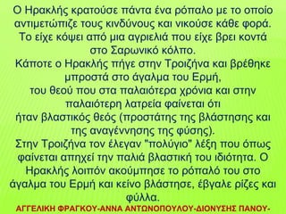 Ο Ηρακλής κρατούσε πάντα ένα ρόπαλο με το οποίο
αντιμετώπιζε τους κινδύνους και νικούσε κάθε φορά.
Το είχε κόψει από μια αγριελιά που είχε βρει κοντά
στο Σαρωνικό κόλπο.
Κάποτε ο Ηρακλής πήγε στην Τροιζήνα και βρέθηκε
μπροστά στο άγαλμα του Ερμή,
του θεού που στα παλαιότερα χρόνια και στην
παλαιότερη λατρεία φαίνεται ότι
ήταν βλαστικός θεός (προστάτης της βλάστησης και
της αναγέννησης της φύσης).
Στην Τροιζήνα τον έλεγαν "πολύγιο" λέξη που όπως
φαίνεται απηχεί την παλιά βλαστική του ιδιότητα. Ο
Ηρακλής λοιπόν ακούμπησε το ρόπαλό του στο
άγαλμα του Ερμή και κείνο βλάστησε, έβγαλε ρίζες και
φύλλα.
ΑΓΓΕΛΙΚΗ ΦΡΑΓΚΟΥ-ΑΝΝΑ ΑΝΤΩΝΟΠΟΥΛΟΥ-ΔΙΟΝΥΣΗΣ ΠΑΝΟΥ-
 