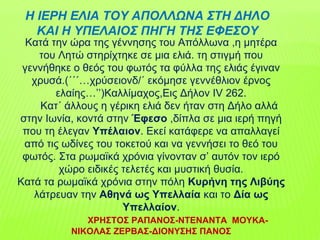 Κατά την ώρα της γέννησης του Απόλλωνα ,η μητέρα
του Λητώ στηρίχτηκε σε μια ελιά. τη στιγμή που
γεννήθηκε ο θεός του φωτός τα φύλλα της ελιάς έγιναν
χρυσά.(΄΄΄…χρύσειονδ/΄ εκόμησε γεννέθλιον έρνος
ελαίης…’’)Καλλίμαχος,Εις Δήλον IV 262.
Κατ΄ άλλους η γέρικη ελιά δεν ήταν στη Δήλο αλλά
στην Ιωνία, κοντά στην Έφεσο ,δίπλα σε μια ιερή πηγή
που τη έλεγαν Υπέλαιον. Εκεί κατάφερε να απαλλαγεί
από τις ωδίνες του τοκετού και να γεννήσει το θεό του
φωτός. Στα ρωμαϊκά χρόνια γίνονταν σ’ αυτόν τον ιερό
χώρο ειδικές τελετές και μυστική θυσία.
Κατά τα ρωμαϊκά χρόνια στην πόλη Κυρήνη της Λιβύης
λάτρευαν την Αθηνά ως Υπελλαία και το Δία ως
Υπελλαίον.
ΧΡΗΣΤΟΣ ΡΑΠΑΝΟΣ-ΝΤΕΝΑΝΤΑ ΜΟΥΚΑ-
ΝΙΚΟΛΑΣ ΖΕΡΒΑΣ-ΔΙΟΝΥΣΗΣ ΠΑΝΟΣ
Η ΙΕΡΗ ΕΛΙΑ ΤΟΥ ΑΠΟΛΛΩΝΑ ΣΤΗ ΔΗΛΟ
ΚΑΙ Η ΥΠΕΛΑΙΟΣ ΠΗΓΗ ΤΗΣ ΕΦΕΣΟΥ
 