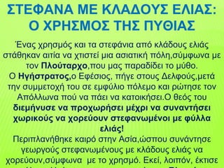ΣΤΕΦΑΝΑ ΜΕ ΚΛΑΔΟΥΣ ΕΛΙΑΣ:
Ο ΧΡΗΣΜΟΣ ΤΗΣ ΠΥΘΙΑΣ
Ένας χρησμός και τα στεφάνια από κλάδους ελιάς
στάθηκαν αιτία να χτιστεί μια ασιατική πόλη,σύμφωνα με
τον Πλούταρχο,που μας παραδίδει το μύθο.
Ο Ηγήστρατος,ο Εφέσιος, πήγε στους Δελφούς,μετά
την συμμετοχή του σε εμφύλιο πόλεμο και ρώτησε τον
Απόλλωνα πού να πάει να κατοικήσει.Ο θεός του
διεμήνυσε να προχωρήσει μέχρι να συναντήσει
χωρικούς να χορεύουν στεφανωμένοι με φύλλα
ελιάς!
Περιπλανήθηκε καιρό στην Ασία,ώσπου συνάντησε
γεωργούς στεφανωμένους με κλάδους ελιάς να
χορεύουν,σύμφωνα με το χρησμό. Εκεί, λοιπόν, έκτισε
 