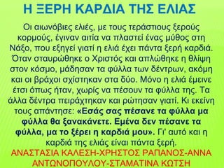 Η ΞΕΡΗ ΚΑΡΔΙΑ ΤΗΣ ΕΛΙΑΣ
Οι αιωνόβιες ελιές, με τους τεράστιους ξερούς
κορμούς, έγιναν αιτία να πλαστεί ένας μύθος στη
Νάξο, που εξηγεί γιατί η ελιά έχει πάντα ξερή καρδιά.
Όταν σταυρώθηκε ο Χριστός και απλώθηκε η θλίψη
στον κόσμο, μάδησαν τα φύλλα των δέντρων, ακόμη
και οι βράχοι σχίστηκαν στα δύο. Μόνο η ελιά έμεινε
έτσι όπως ήταν, χωρίς να πέσουν τα φύλλα της. Τα
άλλα δέντρα πειράχτηκαν και ρώτησαν γιατί. Κι εκείνη
τους απάντησε: «Εσάς σας πέσανε τα φύλλα μα
φύλλα θα ξανακάνετε. Εμένα δεν πέσανε τα
φύλλα, μα το ξέρει η καρδιά μου». Γι' αυτό και η
καρδιά της ελιάς είναι πάντα ξερή.
ΑΝΑΣΤΑΣΙΑ ΚΑΛΕΣΗ-ΧΡΗΣΤΟΣ ΡΑΠΑΝΟΣ-ΑΝΝΑ
ΑΝΤΩΝΟΠΟΥΛΟΥ-ΣΤΑΜΑΤΙΝΑ ΚΩΤΣΗ
 