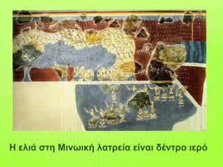 Η ελιά στη Μινωική λατρεία είναι δέντρο ιερό
 