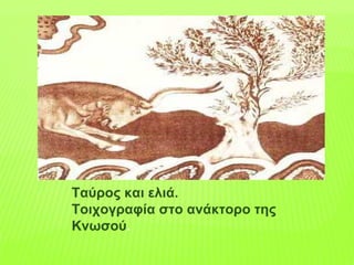 Ταύρος και ελιά.
Τοιχογραφία στο ανάκτορο της
Κνωσού.
 