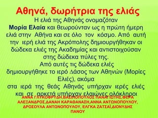Η ελιά της Αθηνάς ονοµαζόταν
Μορία Ελαία και θεωρούνταν ως η πρώτη ήµερη
ελιά στην Αθήνα και σε όλο τον κόσµο. Από αυτή
την ιερή ελιά της Ακρόπολης δηµιουργήθηκαν οι
δώδεκα ελιές της Ακαδηµίας και αντιστοιχούσαν
στης δώδεκα πύλες της.
Από αυτές τις δώδεκα ελιές
δηµιουργήθηκε το ιερό ∆άσος των Αθηνών (Μορίες
Ελιές), ακόµα
στα ιερά της θεάς Αθηνάς υπήρχαν ιερές ελιές
και σε αρκετά υπήρχαν ελαιώνες ολόκληροι.
ΑΝΝΑ ΓΛΥΚΟΦΡΥΔΗ,ΒΑΣΙΛΟΠΟΥΛΟΣ ΠΑΝΑΓΙΩΤΗΣ,ΦΕΡΑ
ΑΛΕΞΑΝΔΡΟΣ,ΔΑΝΑΗ ΚΑΡΑΘΑΝΑΣΗ,ΑΝΝΑ ΑΝΤΩΝΟΠΟΥΛΟΥ,
ΔΡΟΣΟΥΛΑ ΑΝΤΩΝΟΠΟΥΛΟΥ, ΕΛΓΚΑ ΖΑΤΣΑΪ,ΔΙΟΝΥΔΗΣ
ΠΑΝΟΥ
Αθηνά, δωρήτρια της ελιάς
 