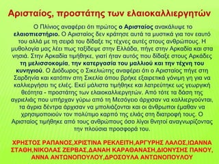 Ο Πλίνιος αναφέρει ότι πρώτος ο Αρισταίος ανακάλυψε το
ελαιοπιεστήριο. Ο Αρισταίος δεν κράτησε αυτά τα μυστικά για τον εαυτό
του αλλά με τη σειρά του δίδαξε τις τέχνες αυτές στους ανθρώπους. Η
μυθολογία μας λέει πως ταξίδεψε στην Ελλάδα, πήγε στην Αρκαδία και στα
νησιά. Στην Αρκαδία τιμήθηκε, γιατί ήταν αυτός που δίδαξε στους Αρκάδες
τη μελισσοκομία, την κατεργασία του μαλλιού και την τέχνη του
κυνηγιού. Ο Διόδωρος ο Σικελιώτης αναφέρει ότι ο Αρισταίος πήγε στη
Σαρδηνία και κατόπιν στη Σικελία όπου βρήκε εξαιρετικά γόνιμη γη για να
καλλιεργήσει τις ελιές. Εκεί μάλιστα τιμήθηκε και λατρεύτηκε ως γεωργική
θεότητα - προστάτης των ελαιοκαλλιεργητών. Από τότε τα δάση της
αγριελιάς που υπήρχαν γύρω από τη Μεσόγειο άρχισαν να καλλιεργούνται,
τα άγρια δέντρα άρχισαν να μπολιάζονται και οι άνθρωποι έμαθαν να
χρησιμοποιούν τον πολύτιμο καρπό της ελιάς στη διατροφή τους. Ο
Αρισταίος τιμήθηκε από τους ανθρώπους όσο λίγοι θνητοί αναγνωρίζοντας
την πλούσια προσφορά του.
ΧΡΗΣΤΟΣ ΡΑΠΑΝΟΣ,ΧΡΙΣΤΙΝΑ ΡΕΚΛΕΙΤΗ,ΑΡΓΥΡΗΣ ΛΑΛΟΣ,ΙΩΑΝΝΑ
ΣΤΑΘΗ,ΝΙΚΟΛΑΣ ΖΕΡΒΑΣ,ΔΑΝΑΗ ΚΑΡΑΘΑΝΑΣΗ,ΔΙΟΝΥΣΗΣ ΠΑΝΟΥ,
ΑΝΝΑ ΑΝΤΩΝΟΠΟΥΛΟΥ,ΔΡΟΣΟΥΛΑ ΑΝΤΩΝΟΠΟΥΛΟΥ
Αρισταίος, προστάτης των ελαιοκαλλιεργητών
 