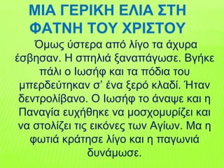 Όμως ύστερα από λίγο τα άχυρα
έσβησαν. Η σπηλιά ξαναπάγωσε. Βγήκε
πάλι ο Ιωσήφ και τα πόδια του
μπερδεύτηκαν σ’ ένα ξερό κλαδί. Ήταν
δεντρολίβανο. Ο Ιωσήφ το άναψε και η
Παναγία ευχήθηκε να μοσχομυρίζει και
να στολίζει τις εικόνες των Αγίων. Μα η
φωτιά κράτησε λίγο και η παγωνιά
δυνάμωσε.
ΜΙΑ ΓΕΡΙΚΗ ΕΛΙΑ ΣΤΗ
ΦΑΤΝΗ ΤΟΥ ΧΡΙΣΤΟΥ
 