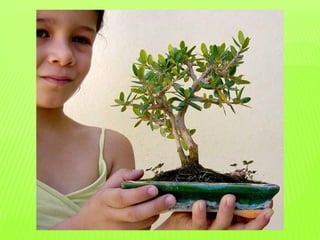 - Aναζητώντας τους μύθους....pdf