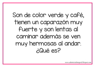 Son de color verde y café,
tienen un caparazón muy
fuerte y son lentas al
caminar además se ven
muy hermosas al andar.
¿Qué es?
www.eduinicialintegral.blospot.com
 
