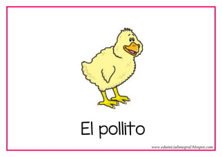 El pollito
www.eduinicialintegral.blospot.com
 