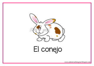 El conejo
www.eduinicialintegral.blospot.com
 