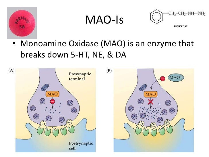 Neuropharmacology Affective Disorders