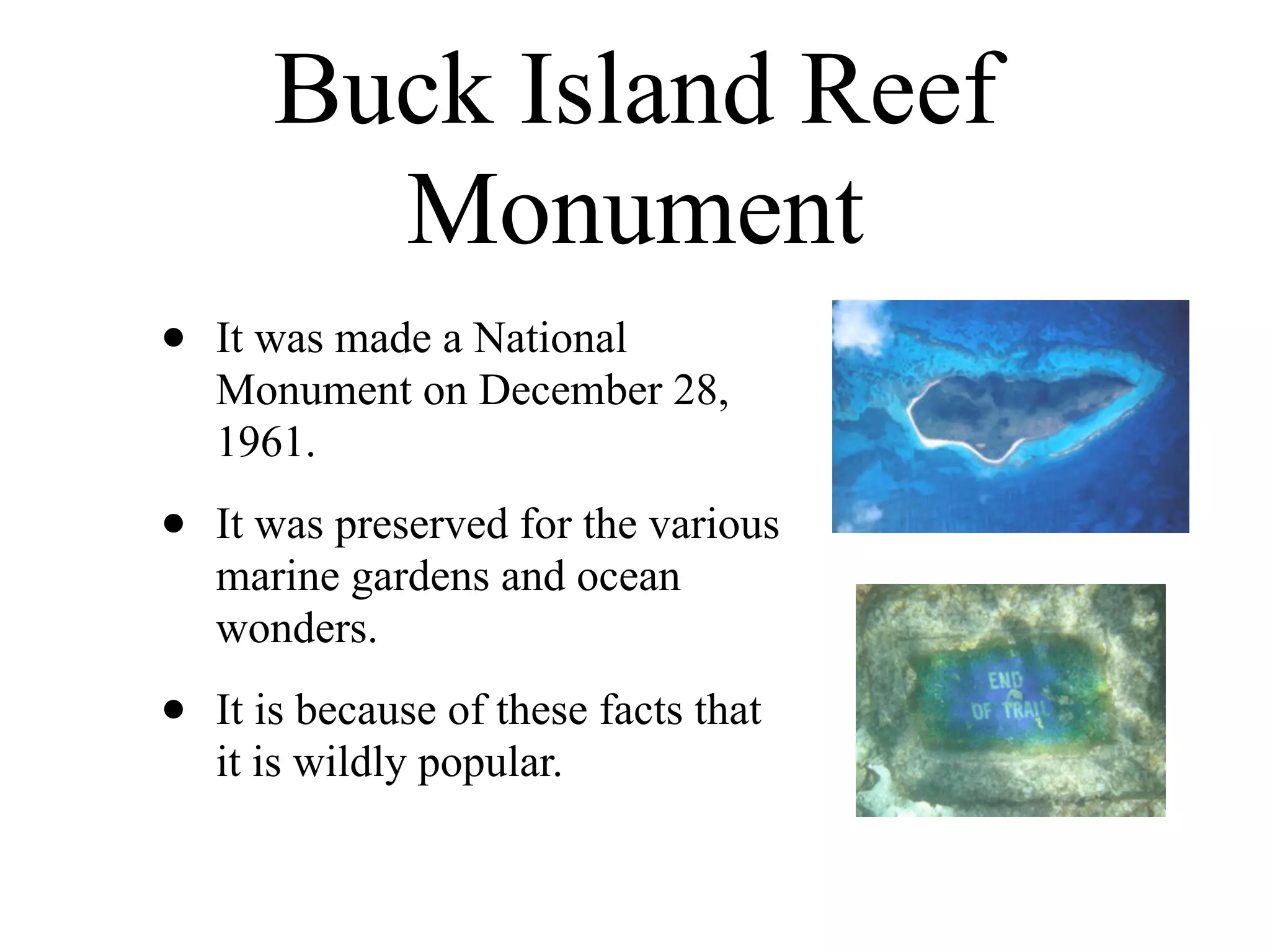 Buck Island Reef
         Monument
•   It was made a National
    Monument on December 28,
    1961.

•   It was preserved for the various
    marine gardens and ocean
    wonders.

•   It is because of these facts that
    it is wildly popular.
 
