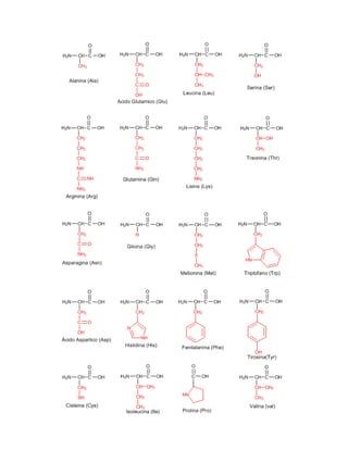 Estrutura de los 20 aminoácidos mas importantes
