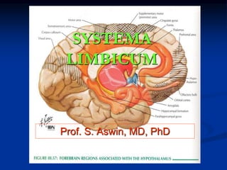 SYSTEMA
LIMBICUM
Prof. S. Aswin, MD, PhD
 