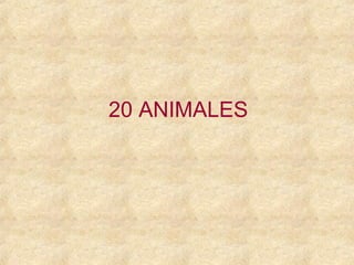 20 ANIMALES
 