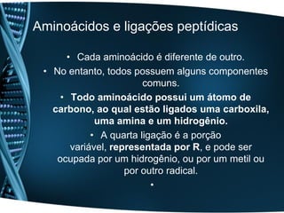 Aminoácidos e ligações peptídicas

      • Cada aminoácido é diferente de outro.
 • No entanto, todos possuem alguns componentes
                        comuns.
     • Todo aminoácido possui um átomo de
   carbono, ao qual estão ligados uma carboxila,
             uma amina e um hidrogênio.
            • A quarta ligação é a porção
       variável, representada por R, e pode ser
    ocupada por um hidrogênio, ou por um metil ou
                    por outro radical.
                          •
 