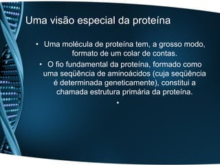 Uma visão especial da proteína

  • Uma molécula de proteína tem, a grosso modo,
             formato de um colar de contas.
   • O fio fundamental da proteína, formado como
    uma seqüência de aminoácidos (cuja seqüência
      é determinada geneticamente), constitui a
       chamada estrutura primária da proteína.
                         •
 