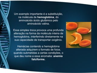 Um exemplo importante é a substituição,
  na molécula de hemoglobina, do
   aminoácido ácido glutâmico pelo
         aminoácido valina.

Essa simples troca provoca uma profunda
alteração na forma da molécula inteira de
hemoglobina, interferindo diretamente na
 sua capacidade de transportar oxigênio.

   Hemácias contendo a hemoglobina
  alterada adquirem o formato de foice,
quando submetidas a certas condições, o
que deu nome a essa anomalia: anemia
              falciforme.
 