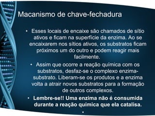 Macanismo de chave-fechadura

  • Esses locais de encaixe são chamados de sítio
      ativos e ficam na superfície da enzima. Ao se
    encaixarem nos sítios ativos, os substratos ficam
       próximos um do outro e podem reagir mais
                        facilmente.
    • Assim que ocorre a reação química com os
        substratos, desfaz-se o complexo enzima-
      substrato. Liberam-se os produtos e a enzima
     volta a atrair novos substratos para a formação
                    de outros complexos.
   • Lembre-se!! Uma enzima não é consumida
      durante a reação química que ela catalisa.
                            •
 