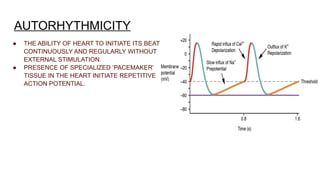 20 Anusha Khalid, Properties of Cardiac Muscle.pptx