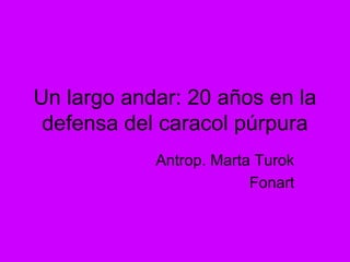 Un largo andar: 20 años en la
defensa del caracol púrpura
Antrop. Marta Turok
Fonart
 