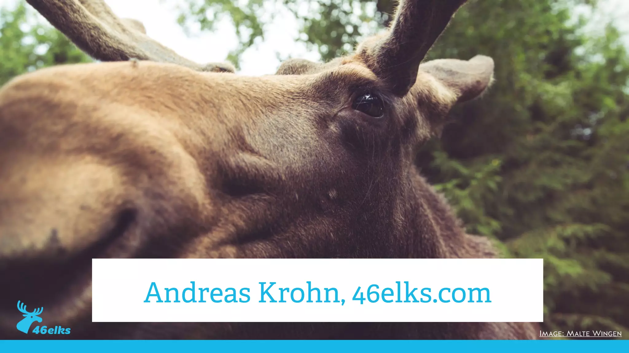 Image: Malte Wingen
Andreas Krohn, 46elks.com