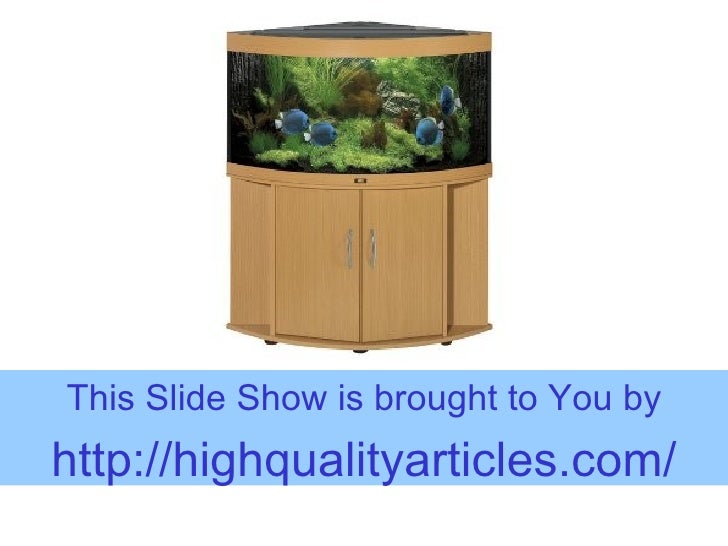 available space dictates aquarium