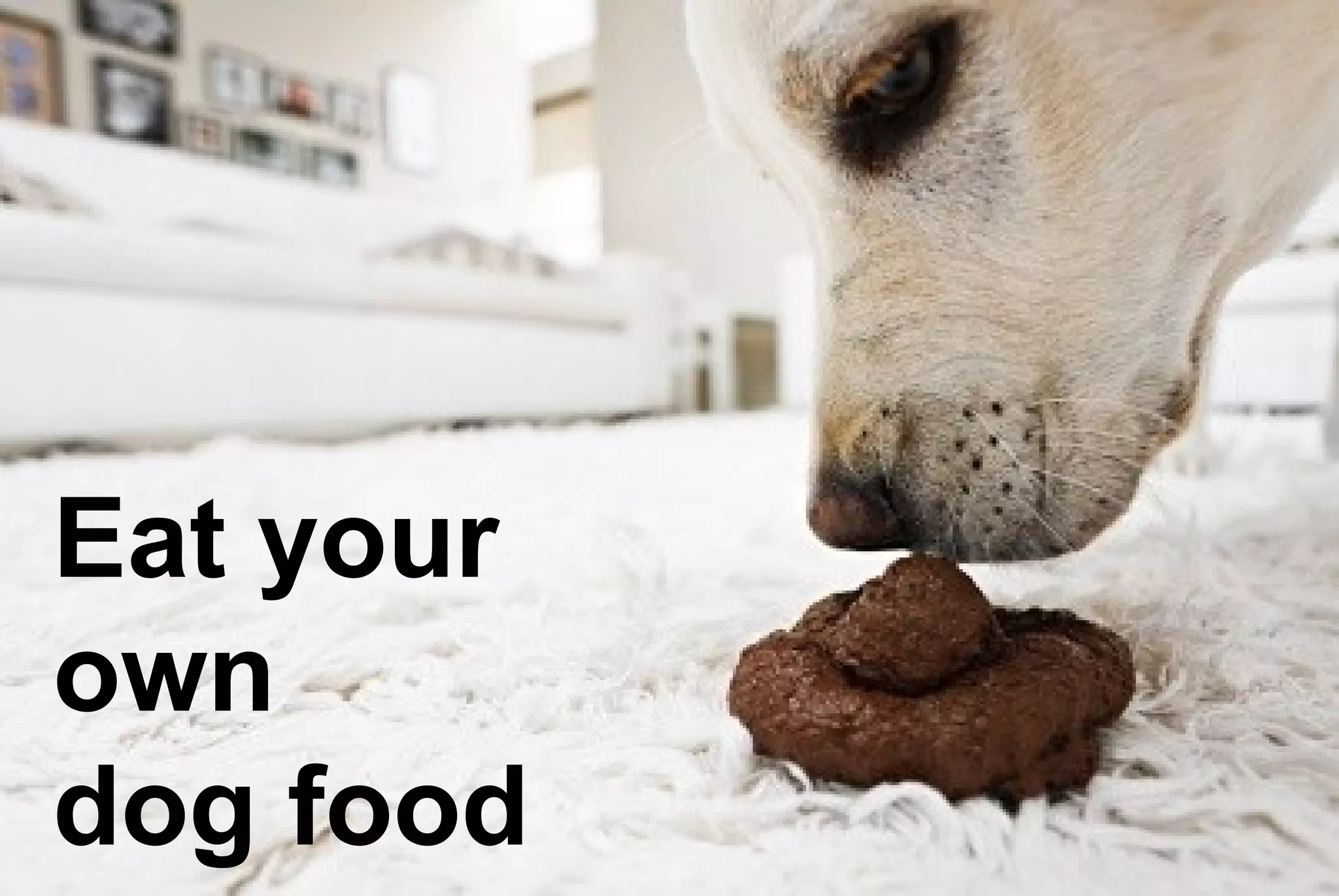 Eat your
own
dog food