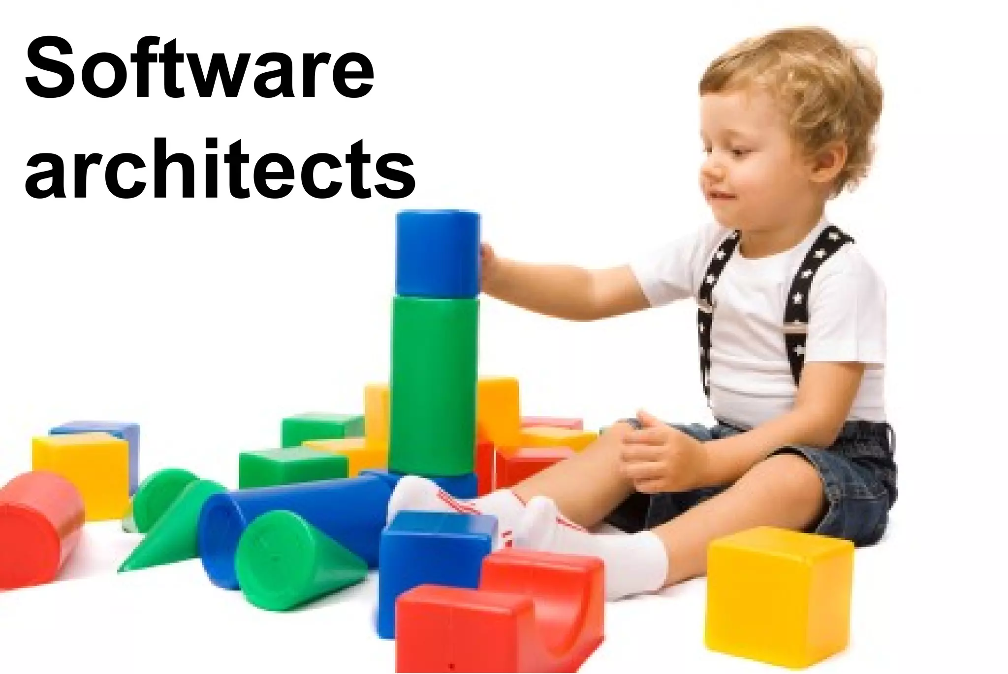 Software
architects