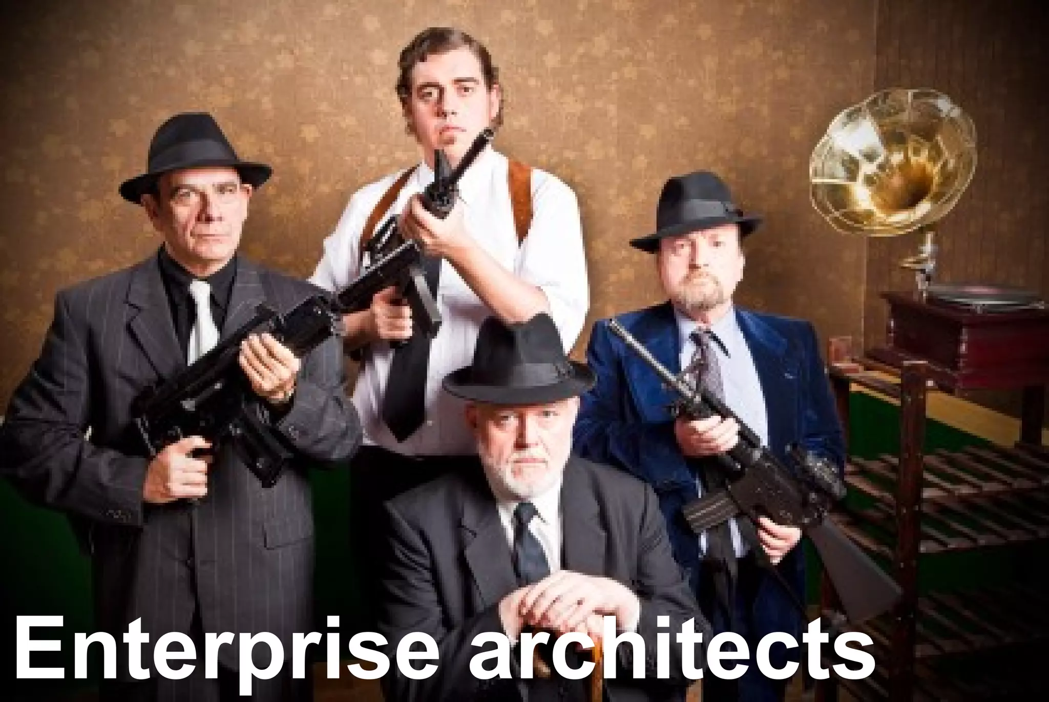 Enterprise architects