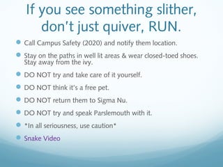 If you see something slither,
don’t just quiver, RUN.
Call Campus Safety (2020) and notify them location.
Stay on the paths in well lit areas & wear closed-toed shoes.
Stay away from the ivy.
DO NOT try and take care of it yourself.
DO NOT think it’s a free pet.
DO NOT return them to Sigma Nu.
DO NOT try and speak Parslemouth with it.
*In all seriousness, use caution*
Snake Video
 