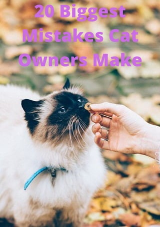 20 Biggest
Mistakes Cat
Owners Make
 