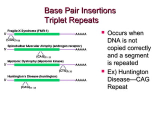 Base Pair InsertionsBase Pair Insertions
Triplet RepeatsTriplet Repeats
 Occurs whenOccurs when
DNA is notDNA is not
copied correctlycopied correctly
and a segmentand a segment
is repeatedis repeated
 Ex) HuntingtonEx) Huntington
Disease—CAGDisease—CAG
RepeatRepeat
 