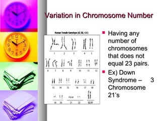 Variation in Chromosome NumberVariation in Chromosome Number
 Having anyHaving any
number ofnumber of
chromosomeschromosomes
that does notthat does not
equal 23 pairs.equal 23 pairs.
 Ex) DownEx) Down
Syndrome – 3Syndrome – 3
ChromosomeChromosome
21’s21’s
 