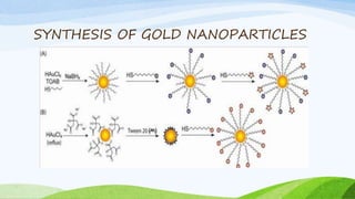 SYNTHESIS OF NANOPARTICLES USING PLANT AND MICROBES | PPTX
