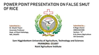 POWER POINT PRESENTATION ON FALSE SMUT
OF RICE
Submitted to :-
Dr. Shashi Tiwari
Associate Professor
Dept. of Plant Pathology,
NAI, SHUATS
Submitted by :-
K.Naga charan
20BSCAGH306
Section : “C”
B.Sc.(Hons.)Agriculture
5th Semester.
Sam Higginbottom University of Agriculture, Technology and Sciences
PRAYAGRAJ -211007
Naini Agriculture Institute
 