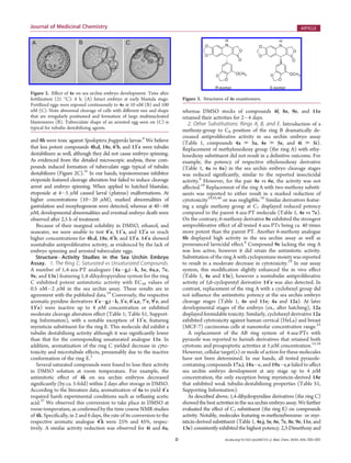 D dx.doi.org/10.1021/jm200737s |J. Med. Chem. XXXX, XXX, 000–000
Journal of Medicinal Chemistry ARTICLE
and 8h were toxic against Spodoptera frugiperda larvae.6
We believe
that less potent compounds 4b,d, 18e, 60
b, and 130
e were tubulin
destabilizers as well, although they did not cause embryo spinning.
As evidenced from the detailed microscopic analysis, these com-
pounds induced formation of tuberculate eggs typical of tubulin
destabilizers (Figure 2C).31
In our hands, topoisomerase inhibitor
etoposide featured cleavage alteration but failed to induce cleavage
arrest and embryo spinning. When applied to hatched blastulae,
etoposide at 4À5 μM caused larval (pluteus) malformations. At
higher concentrations (10À20 μM), marked abnormalities of
gastrulation and morphogenesis were detected, whereas at 40À68
μM, developmental abnormalities and eventual embryo death were
observed after 2.5 h of treatment.
Because of their marginal solubility in DMSO, ethanol, and
seawater, we were unable to test 80
e, 110
a, and 120
a or reach
higher concentrations for 4b,d, 18e, 60
b, and 130
e. 140
e showed
nontubulin antiproliferative activity, as evidenced by the lack of
embryo spinning and arrested tuberculate eggs.
StructureÀActivity Studies in the Sea Urchin Embryo
Assay. 1. The Ring C: Saturated vs Unsaturated Compounds.
A number of 1,4-aza-PT analogues (4aÀg,iÀk, 5e, 6a,e, 7e,
9e, and 13e) featuring 1,4-dihydropyridine system for the ring
C exhibited potent antimitotic activity with EC50 values of
0.5 nMÀ2 μM in the sea urchin assay. These results are in
agreement with the published data.19
Conversely, the respective
aromatic pyridine derivatives 40
aÀg,iÀk, 50
e, 60
a,e, 70
e, 90
e, and
130
e) were inactive up to 4 μM concentration or exhibited
moderate cleavage alteration effect (Table 1; Table S1, Support-
ing Information), with a notable exception of 110
e, featuring
myristicin substituent for the ring E. This molecule did exhibit a
tubulin destabilizing activity although it was significantly lower
than that for the corresponding unsaturated analogue 11e. In
addition, aromatization of the ring C yielded decrease in cyto-
toxicity and microtubule effects, presumably due to the inactive
conformation of the ring E.3
Several saturated compounds were found to lose their activity
in DMSO solution at room temperature. For example, the
antimitotic eﬀect of 4k on sea urchin embryos decreased
signiﬁcantly (by ca. 5-fold) within 2 days after storage in DMSO.
According to the literature data, aromatization of 4a to yield 40
a
required harsh experimental conditions such as reﬂuxing acetic
acid.37
We observed this conversion to take place in DMSO at
room temperature, as conﬁrmed by the time course NMR studies
of 4k. Speciﬁcally, in 2 and 6 days, the rate of its conversion to the
respective aromatic analogue 40
k were 25% and 45%, respec-
tively. A similar activity reduction was observed for 4i and 6a,
whereas DMSO stocks of compounds 4f, 8e, 9e, and 11e
retained their activities for 2À4 days.
2. Other Substitutions: Rings A, B, and E. Introduction of a
methoxy-group to C8 position of the ring B dramatically de-
creased antiproliferative activity in sea urchin embryo assay
(Table 1, compounds 4a . 5a, 4e . 5e, and 4i . 5i).
Replacement of methylenedioxy group (the ring A) with ethy-
lenedioxy substituent did not result in a definitive outcome. For
example, the potency of respective ethylenedioxy derivative
(Table 1, 4a vs 6a) in the sea urchin embryo cleavage stages
was reduced significantly, similar to the reported insecticidal
activity.6
However, for the pair 4e vs 6e, the activity was not
affected.19
Replacement of the ring A with two methoxy substit-
uents was reported to either result in a marked reduction of
cytotoxicity19,45,46
or was negligible.16
Similar derivatives featur-
ing a single methoxy group at C7 displayed reduced potency
compared to the parent 4-aza-PT molecule (Table 1, 4e vs 7e).
On the contrary, 6-methoxy derivative 8e exhibited the strongest
antiproliferative effect of all tested 4-aza-PTs being ca. 40 times
more potent than the parent PT. Another 6-methoxy analogue
8h displayed high activity in the sea urchin assay as well as
pronounced larvicidal effect.6
Compound 9e lacking the ring A
was less active, however it did retain the antimitotic activity.
Substitution of the ring A with cyclopentane moiety was reported
to result in a moderate decrease in cytotoxicity.19
In our assay
system, this modification slightly enhanced the in vivo effect
(Table 1, 4e and 13e), however a nontubulin antiproliferative
activity of 5,6-cyclopentyl derivative 140
e was also detected. In
contrast, replacement of the ring A with a cyclohexyl group did
not influence the antimitotic potency at the sea urchin embryo
cleavage stages (Table 1, 4e and 11e; 4a and 12a). At later
developmental stages of the embryo (ex., after hatching), 12a
displayed formidable toxicity. Similarly, cyclohexyl derivative 12a
exhibited cytotoxicity against human cervical (HeLa) and breast
(MCF-7) carcinomas cells at nanomolar concentration range.23
A replacement of the AB ring system of 4-aza-PTs with
pyrazole was reported to furnish derivatives that retained both
cytotoxic and proapoptotic activities at 5 μM concentration.15,16
However, cellular target(s) or mode of action for these molecules
have not been determined. In our hands, all tested pyrazole-
containing compounds 17a,i, 18aÀc, and 19aÀc,e failed to aﬀect
sea urchin embryo development at any stage up to 4 μM
concentration, the only exception being myristicin-derived 18e
that exhibited weak tubulin-destabilizing properties (Table S1,
Supporting Information).
As described above, 1,4-dihydropyridine derivatives (the ring C)
showed the best activities in the sea urchin embryo assay. We further
evaluated the eﬀect of C1 substituent (the ring E) on compounds
activity. Notably, molecules featuring m-methoxybenzene- or myr-
isticin-derived substituent (Table 1, 4e,j, 5e, 6e, 7e, 8e, 9e, 11e, and
13e) consistently exhibited the highest potency. 2,3-Dimethoxy and
Figure 2. Eﬀect of 4e on sea urchin embryo development. Time after
fertilization (21 °C): 6 h. (A) Intact embryo at early blastula stage.
Fertilized eggs were exposed continuously to 4e at 10 nM (B) and 100
nM (C). Note abnormal cleavage of cells with diﬀerent size and shape
that are irregularly positioned and formation of large multinucleated
blastomeres (B). Tuberculate shape of an arrested egg seen on (C) is
typical for tubulin destabilizing agents.
Figure 3. Structures of 4e enantiomers.
 