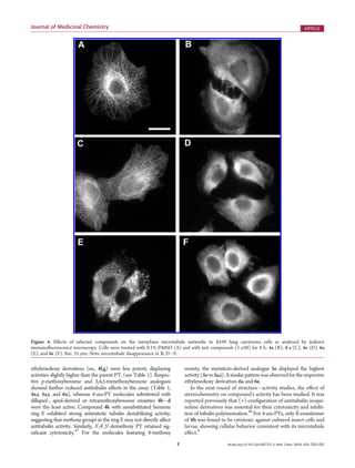 E dx.doi.org/10.1021/jm200737s |J. Med. Chem. XXXX, XXX, 000–000
Journal of Medicinal Chemistry ARTICLE
ethylenedioxy derivatives (ex., 4f,g) were less potent, displaying
activities slightly higher than the parent PT. (see Table 1). Respec-
tive p-methoxybenzene and 3,4,5-trimethoxybenzene analogues
showed further reduced antitubulin eﬀects in the assay (Table 1,
4a,i, 5a,i, and 6a), whereas 4-aza-PT molecules substituted with
dillapiol-, apiol-derived or tetramethoxybenzene moieties 4bÀd
were the least active. Compound 4k with unsubstituted benzene
ring E exhibited strong antimitotic tubulin destabilizing activity,
suggesting that methoxy groups in the ring E may not directly aﬀect
antitubulin activity. Similarly, 30
,40
,50
-demethoxy PT retained sig-
niﬁcant cytotoxicity.47
For the molecules featuring 8-methoxy
moiety, the myristicin-derived analogue 5e displayed the highest
activity(5evs5a,i).Asimilar patternwasobservedfortherespective
ethylenedioxy derivatives 6a and 6e.
In the next round of structureÀactivity studies, the eﬀect of
stereochemistry on compound’s activity has been studied. It was
reported previously that (+)-conﬁguration of antitubulin isoqui-
noline derivatives was essential for their cytotoxicity and inhibi-
tion of tubulin polymerization.48
For 4-aza-PTs, only R-enantiomer
of 8h was found to be cytotoxic against cultured insect cells and
larvae, showing cellular behavior consistent with its microtubule
eﬀect.6
Figure 4. Eﬀects of selected compounds on the interphase microtubule networks in A549 lung carcinoma cells as analyzed by indirect
immunoﬂuorescence microscopy. Cells were treated with 0.1% DMSO (A) and with test compounds (1 μM) for 8 h: 4a (B), 40
a (C), 4e (D), 6a
(E), and 8e (F). Bar: 25 μm. Note microtubule disappearance in B, DÀF.
 
