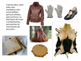A pel da cabra, sobre
todo a dos
exemplares máis
novos (tafilete,
gamuza) utilízase,
pola súa finura, na
fabricación de roupa
e complementos,
para parches de
instrumentos de
percusión…
 