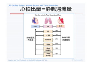 20 Cardiac Output, Venous Return, and Their Regulation
O.Yamaguchi
Guyton and Hall Textbook of Medical Physiology 14th Ed.
ĳ=}߀
 


Ġ
Ġѭh
IĠ

(ǻӕr)
Ƥw

ĳ
(})
}߀
(})
 
