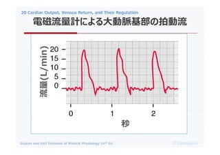 20 Cardiac Output, Venous Return, and Their Regulation
O.Yamaguchi
Guyton and Hall Textbook of Medical Physiology 14th Ed.
늴Ӌˤ}Ą

 
