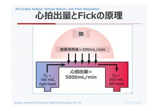 20 Cardiac Output, Venous Return, and Their Regulation
O.Yamaguchi
Guyton and Hall Textbook of Medical Physiology 14th Ed.
ĳFickԭ
ĳ=
5000mL/min
M=200mL/min

 