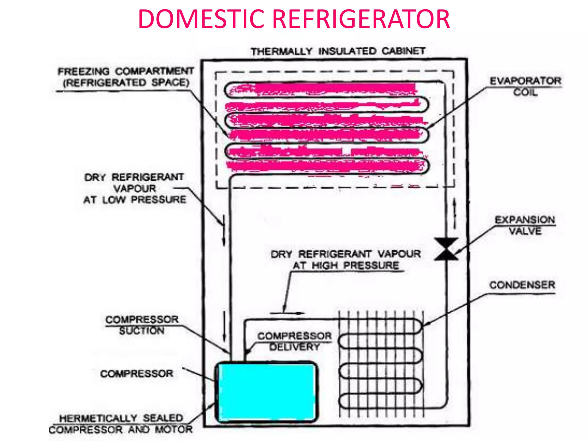 DOMESTIC REFRIGERATOR
 