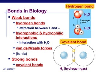 AP Biology
–
–
H2 (hydrogen gas)
Covalent bond
Bonds in Biology
 Weak bonds
 hydrogen bonds
 attraction between + and –
 hydrophobic & hydrophilic
interactions
 interaction with H2O
 van derWaals forces
 (ionic)
 Strong bonds
 covalent bonds
Hydrogen bond
H2O
H2O
 