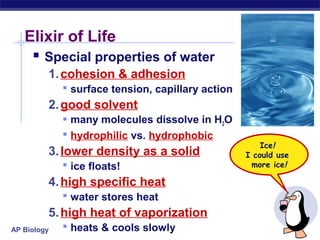 AP Biology
Elixir of Life
 Special properties of water
1.cohesion & adhesion
 surface tension, capillary action
2.good solvent
 many molecules dissolve in H2O
 hydrophilic vs. hydrophobic
3.lower density as a solid
 ice floats!
4.high specific heat
 water stores heat
5.high heat of vaporization
 heats & cools slowly
Ice!
I could use
more ice!
 