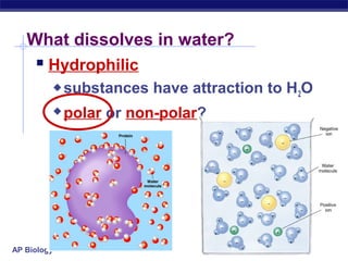 AP Biology
What dissolves in water?
 Hydrophilic
 substances have attraction to H2O
 polar or non-polar?
 